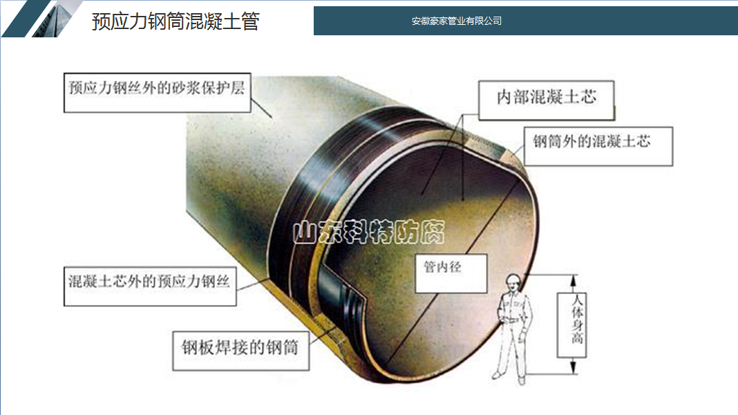 尊龙凯时官网(中国区)官方入口