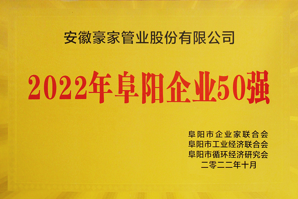 尊龙凯时官网管业荣获《2022年阜阳企业50强》奖牌