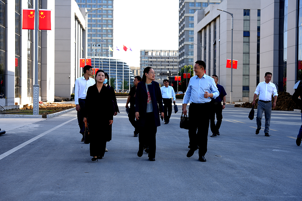 市政协常委、民革阜阳市委专职副主委鲍梅等一行莅临尊龙凯时官网集团