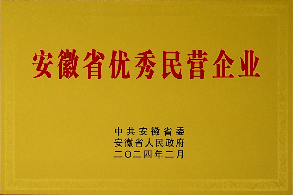 尊龙凯时官网股份荣获“安徽省百名优秀民营企业”称呼